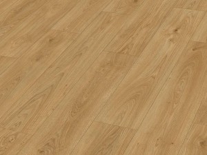 Panele podłogowe Dąb brzegowy miód AC4 10mm Meister LD 250