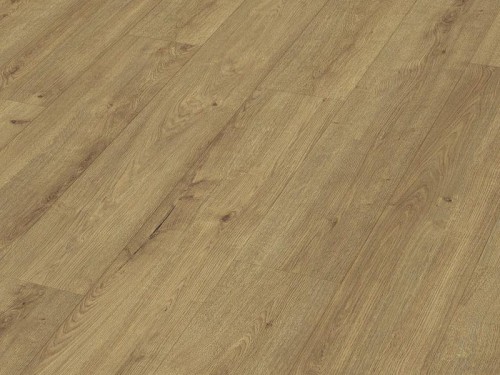 dab-szampan-ld250-meister.jpg