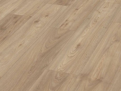 kingdom-oak.jpg