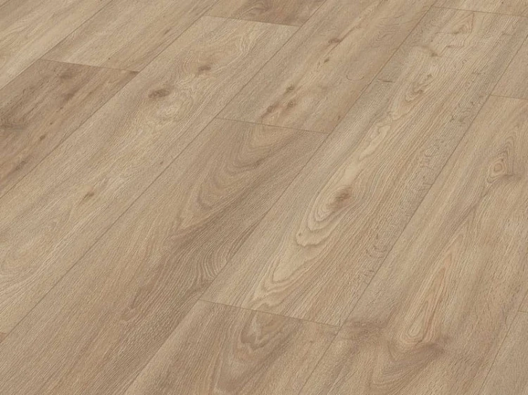 kingdom-oak.jpg