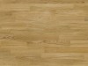 dab-amazon-molti-life-barlinek.jpg