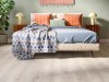 dab-pinot-bialy-classic-aqua-egger-2.jpg
