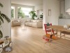 dab-piniot-piaskowy-classic-aqua-egger-2.jpg