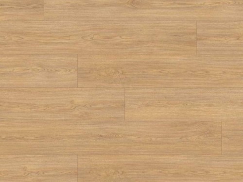 dab-casella-naturalny-classic-aqua-egger.jpg