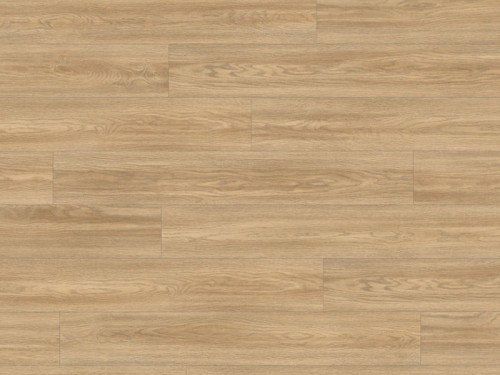 dab-soria-naturalny-classic-aqua-egger.jpg