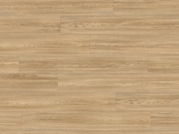 dab-soria-naturalny-classic-aqua-egger.jpg