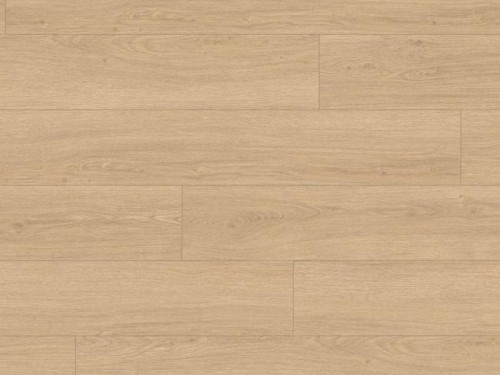 dab-victoria-naturalny-classic-aqua-egger.jpg