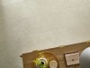 monreale_ivory_arbiton_amaron_forma_2.jpg