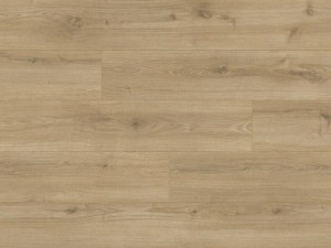Panele podłogowe Dąb Chiaro AC5 8mm Expedition 4V Classen