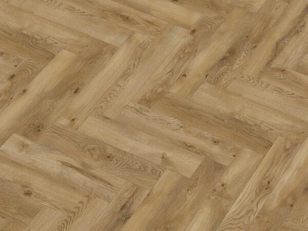 dab_braga_wiparquet_classen2.jpg