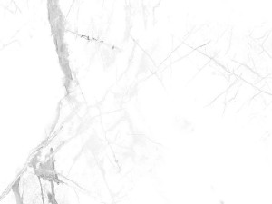 Panele ścienne Calacatta Snow mat 60x30 4mm SPC Vilo