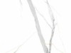 calacatta_white_panel_scienny_spc_vilo.jpg
