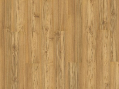 Teak Tasmanian.jpg
